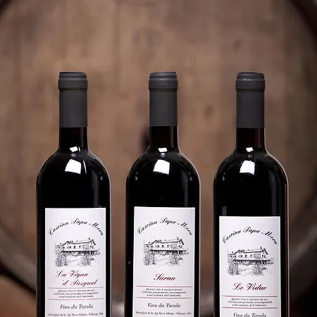 Фермерский дом Cascina Papa Mora Cellarengo